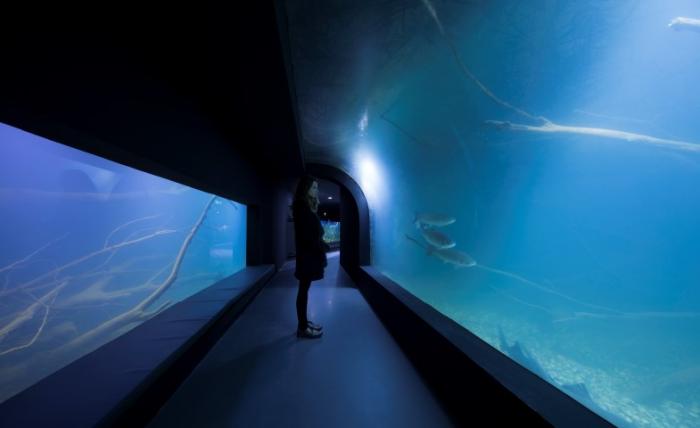 Otvoren 3LHD-ov projekt Karlovačkog slatkovodnog akvarija  Aquatika 