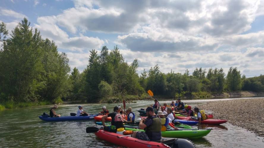 veslanje_4 WWF-ova regata „Veslajmo za naše rijeke“ jučer na Dravi, a danas na Kupi