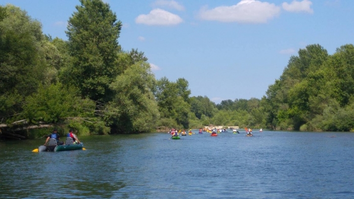 WWF-ova regata &bdquo;Veslajmo za na&scaron;e rijeke&ldquo; jučer na Dravi, a danas na Kupi