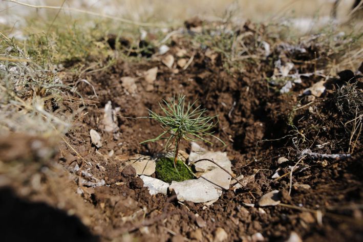 Greenpeace_-_Nevio_Smaji_3_compressed Požari su lice klimatskih promjena