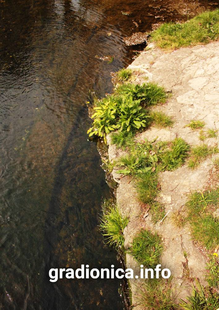 Građanski razgovor - Park na&scaron; svagda&scaron;nji: Kakvu Vruljicu bi ti?