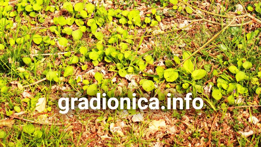 05 U petak započinje gradionica na temu parka Vruljice