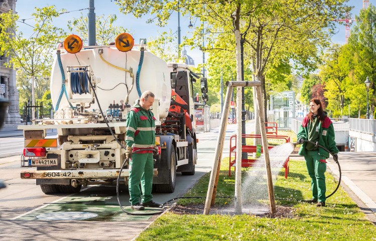 Vienna U Beču se svake godine posadi 4.500 novih stabala