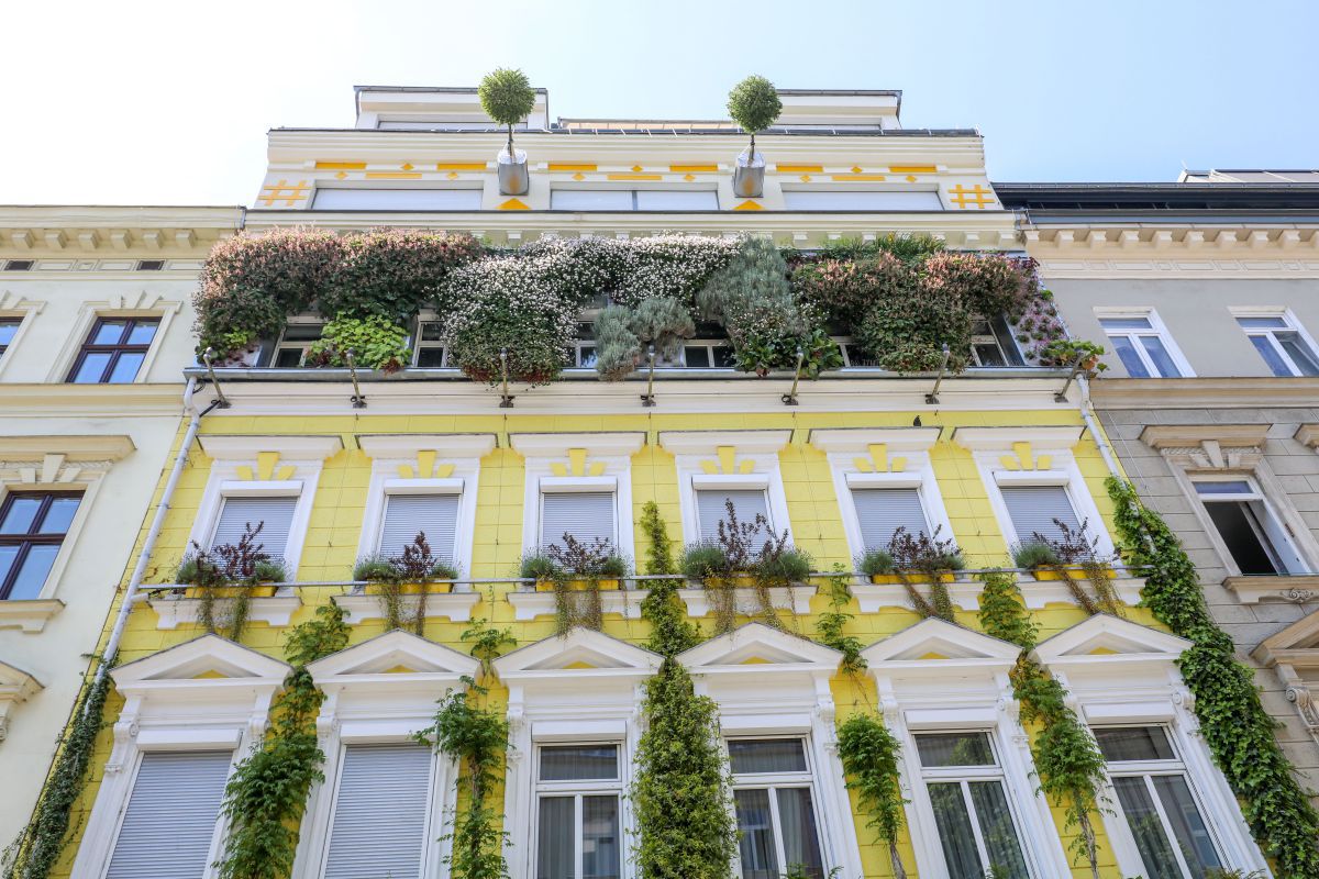 Ozelenjene_fasade_doprinose_ouvanju_bioraznolikosti__Stadt_Wien_Frthner Gradske zelene površine igraju ključnu ulogu u snižavanju ljetnih temperatura i očuvanju bioraznolikosti