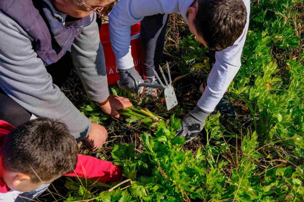 Berba_za_djecu_na_grunteku_uz_Grohe Grohe potiče djecu na održivost kroz edukativne radionice