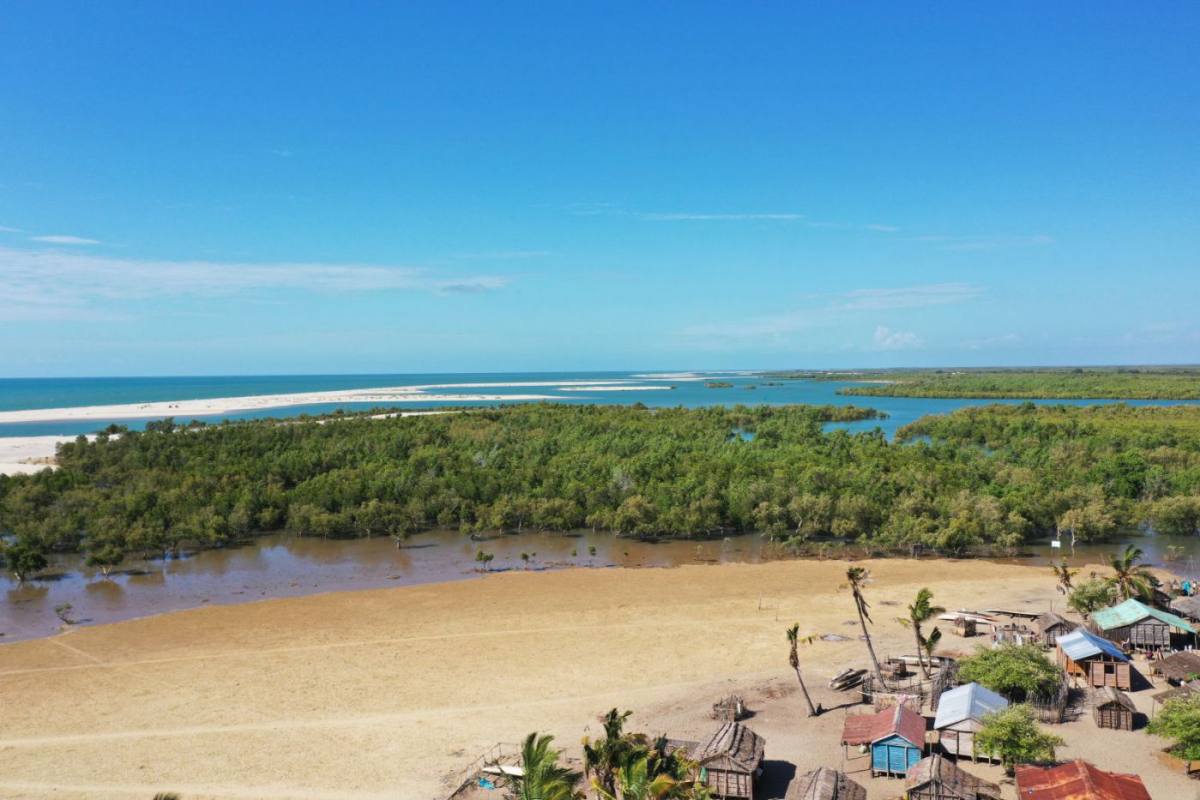 Mangroves_2_Tojo_Rasolozaka__WWF_Madagascar VELUX Grupa najavljuje dva nova projekta zaštite klime i prirode u Vijetnamu i Madagaskaru u suradnji sa WWF-om
