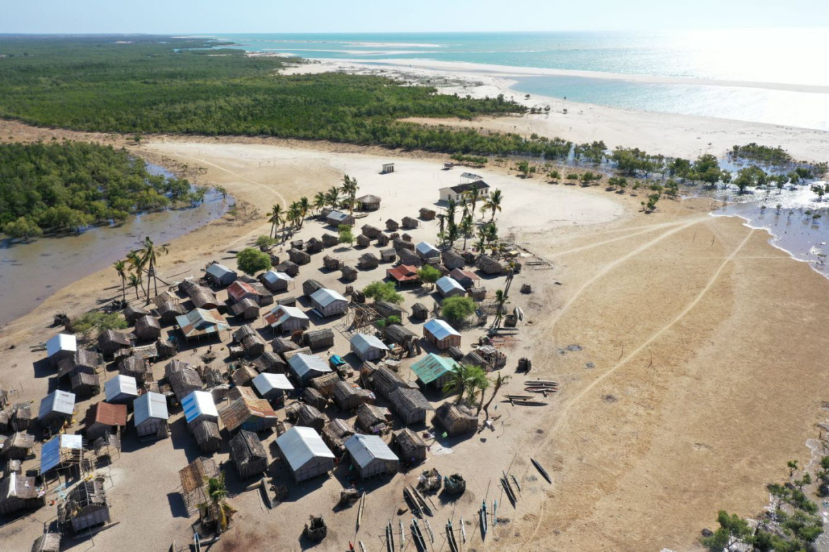 Mangroves_1_Tojo_Rasolozaka_WWF_Madagascar VELUX Grupa najavljuje dva nova projekta zaštite klime i prirode u Vijetnamu i Madagaskaru u suradnji sa WWF-om