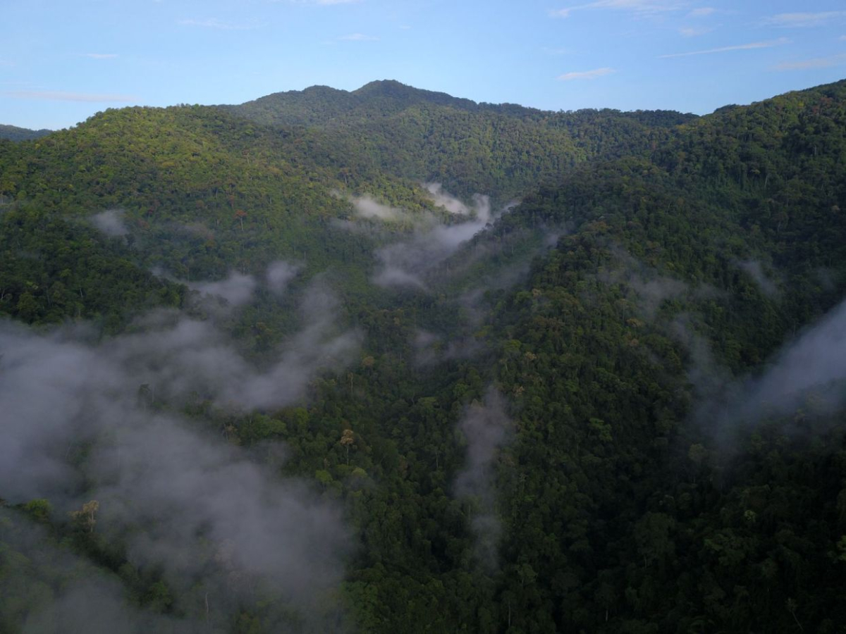 Nguyen_Ngoc_Quang__WWF_Viet_Nam VELUX Grupa najavljuje dva nova projekta zaštite klime i prirode u Vijetnamu i Madagaskaru u suradnji sa WWF-om