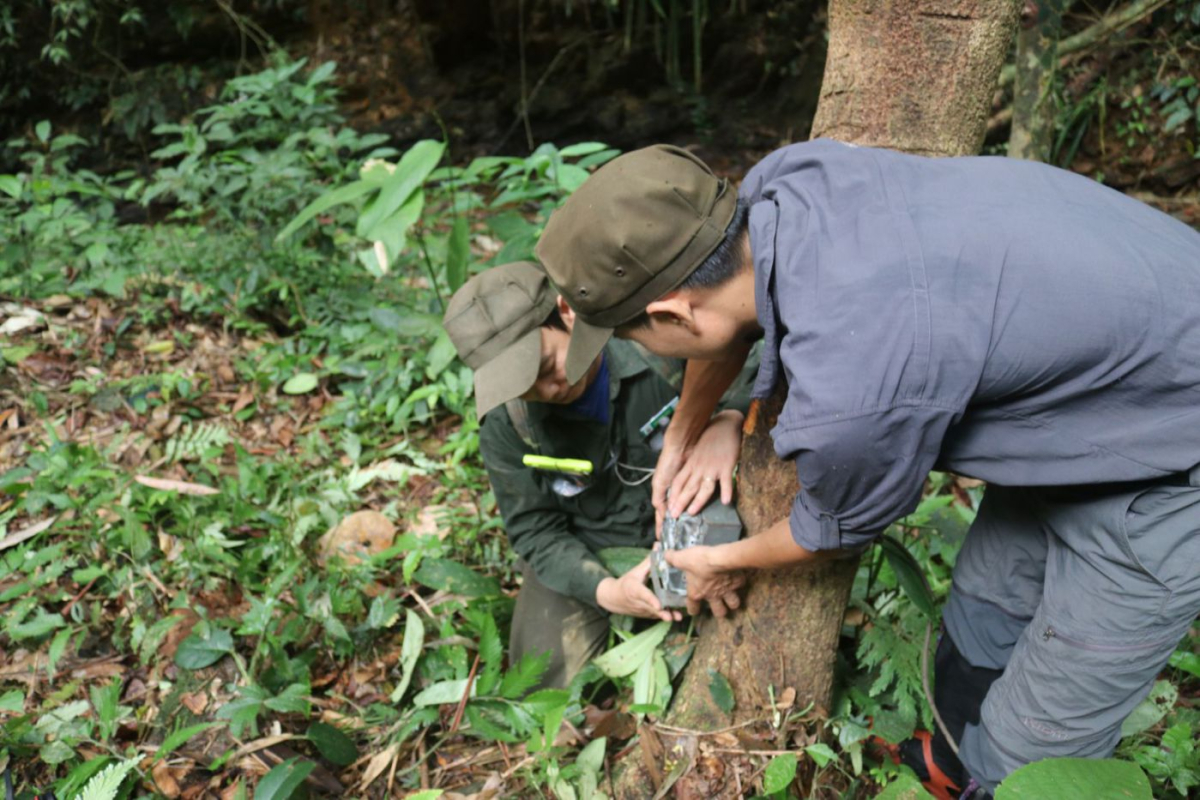 WWF_Vietnam_Denise_Stilley VELUX Grupa najavljuje dva nova projekta zaštite klime i prirode u Vijetnamu i Madagaskaru u suradnji sa WWF-om