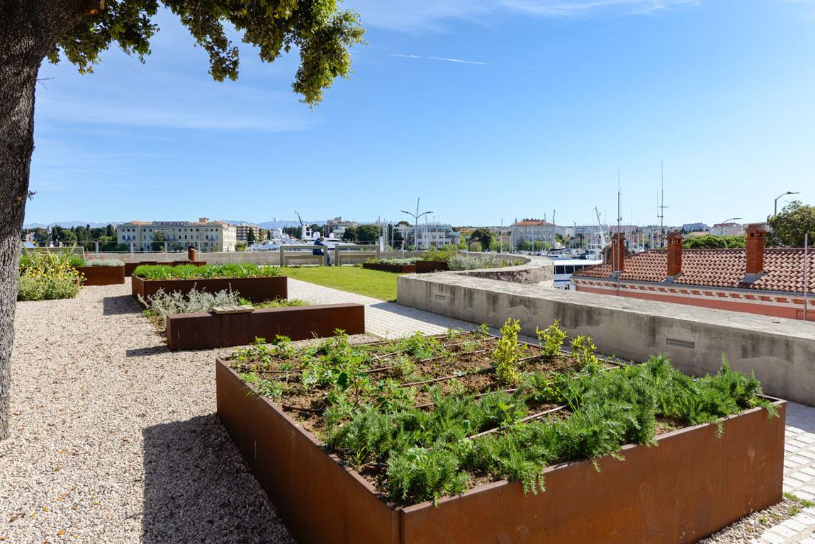 Eurogarden_uredenje_zelenih_povrsina_gradski_bedemi_Zadar_24 Na Muraju posađeno više od 50 vrsta autohtonih mediteranskih trajnica