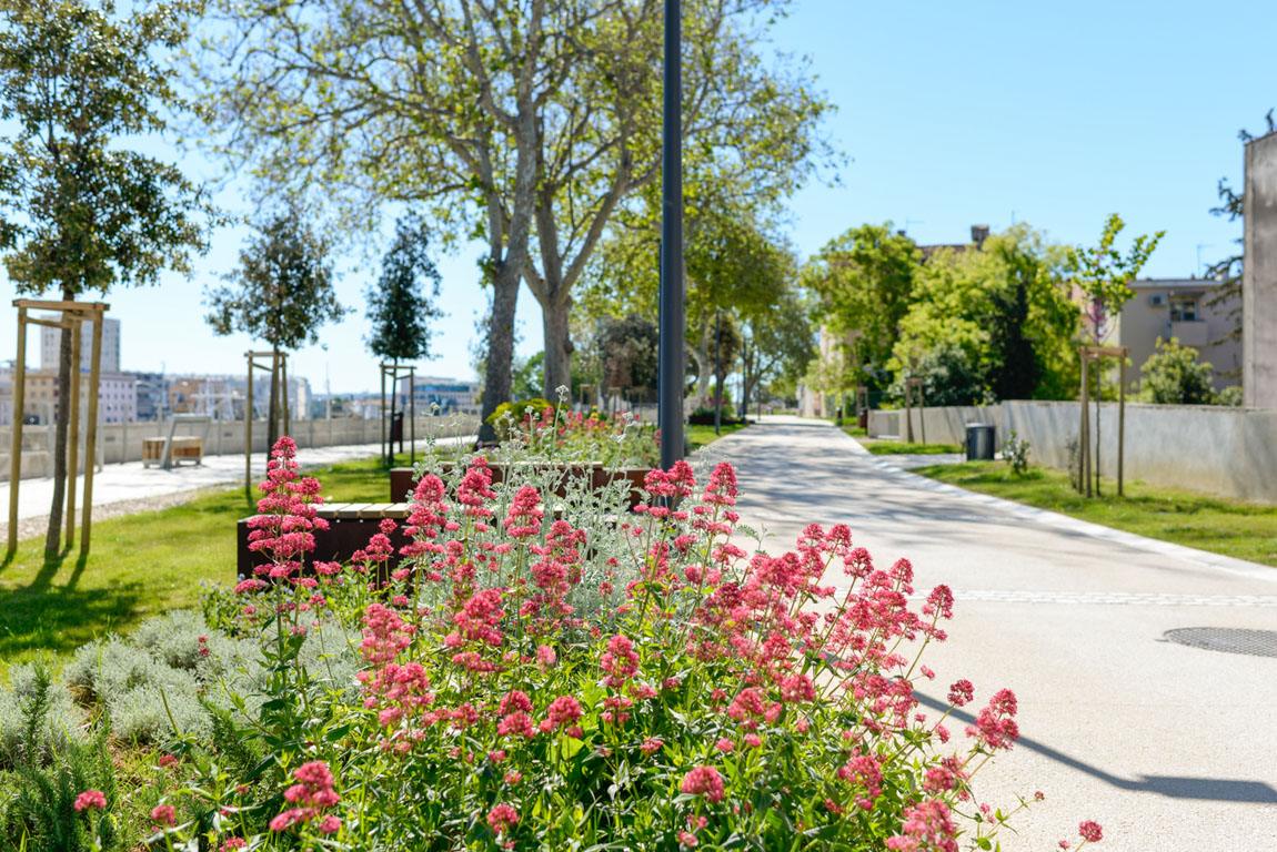 Eurogarden_uredenje_zelenih_povrsina_gradski_bedemi_Zadar_29 Na Muraju posađeno više od 50 vrsta autohtonih mediteranskih trajnica
