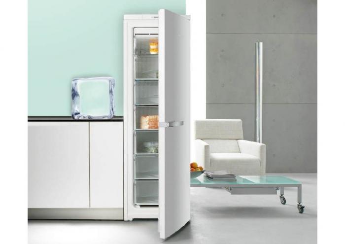 try Samostojeći zamrzivač Miele FN 26062 ws