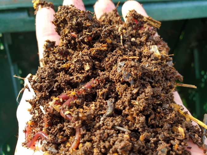 Biovrt_Arano_2_kompost Može li održivost postati naša realnost?