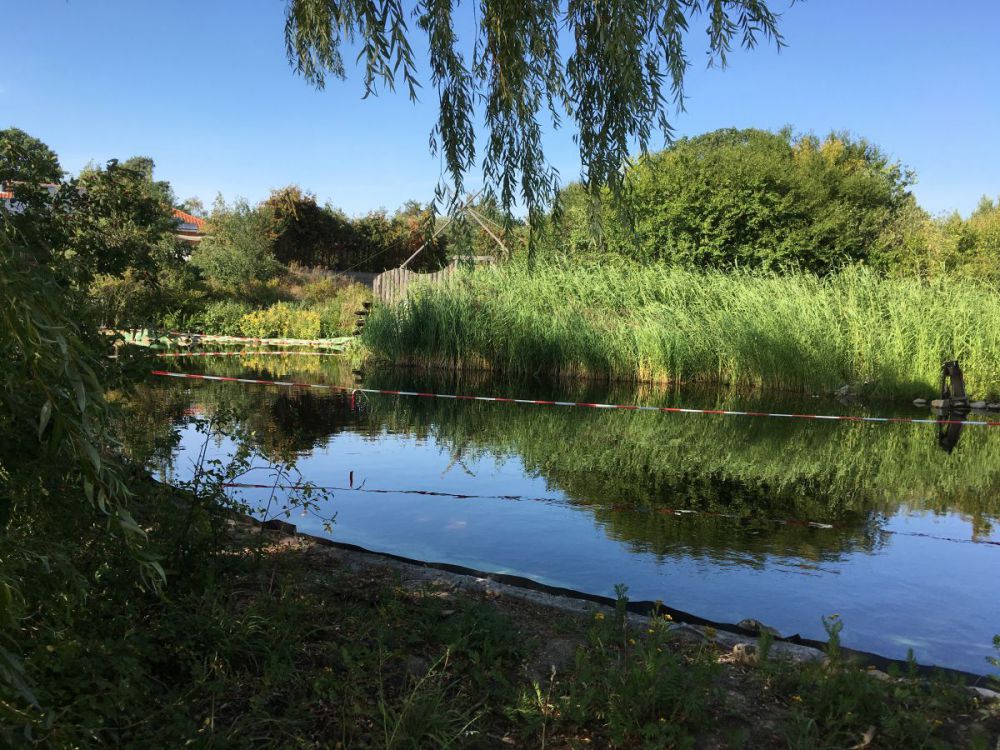 Biljni_proista_jezero Kako pametno zbrinjavati otpadne vode?